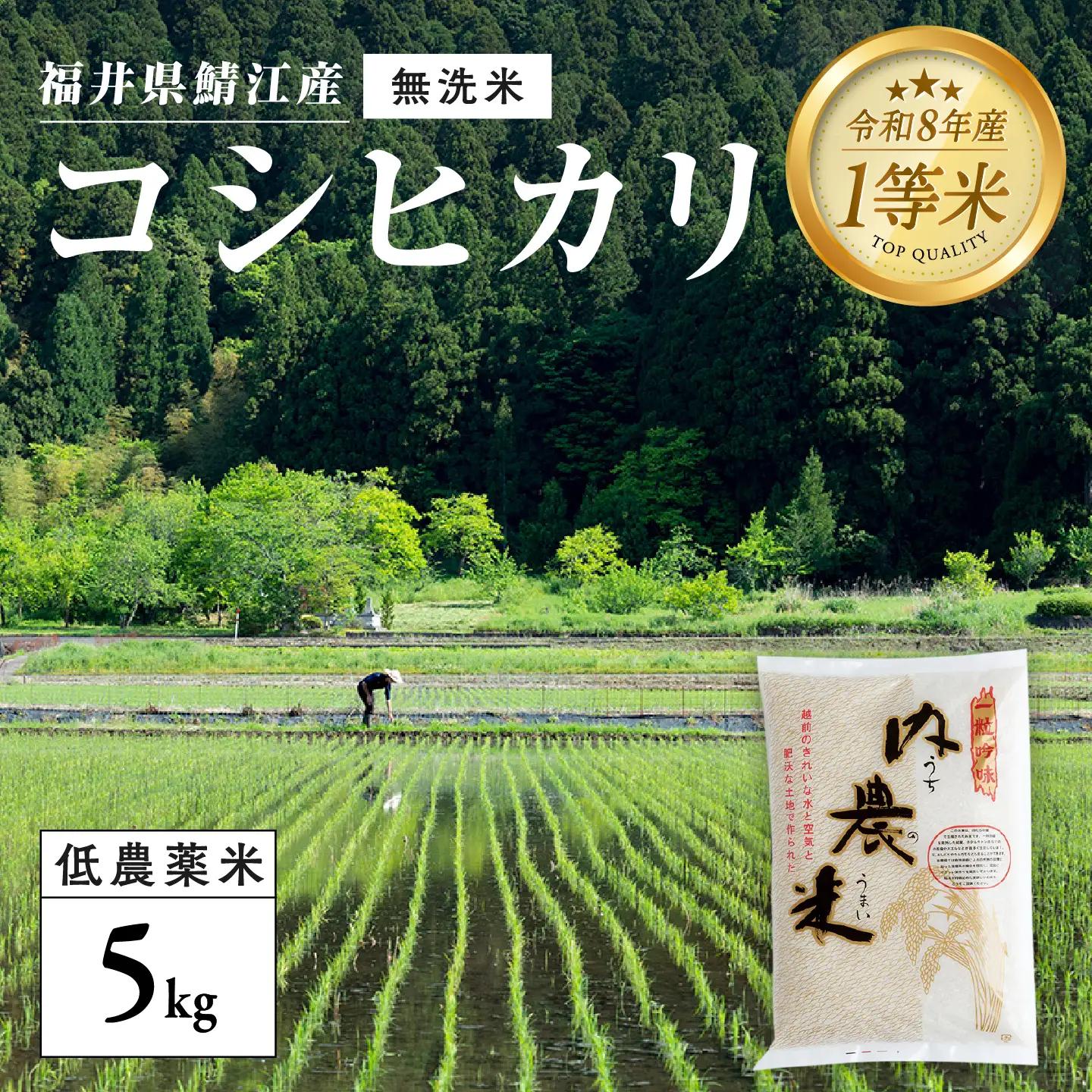 【令和8年産新米！】【先行予約】【2026年9月下旬以降順次発送予定】福井県産 内農米 コシヒカリ 無洗米 5kg 白米 精米 