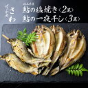 【ふるさと納税】鮎の塩焼きと鮎の一夜干しセット　あゆ アユ 鮎 岐阜県産 川魚 レンジでチン 簡単 お手軽[[Q712wx]《hida0307》