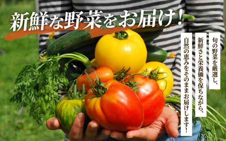 旬のおまかせ野菜BOX 10品～15品 単発便