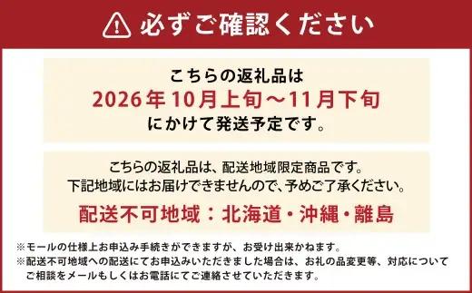 シャインマスカット 2房 約1.4kg マスカット 葡萄 くだもの 果物 フルーツ 果実 ぶどう ブドウ 皮ごと 種無し ギフト 贈答 贈り物 果汁 国産 岡山県産 【 2026年10月下旬～11月下