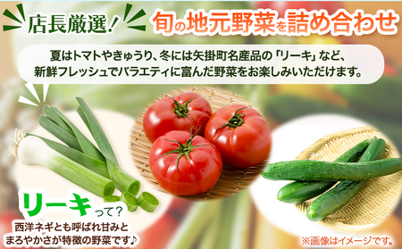 野菜 やさい 旬の新鮮野菜詰め合わせセット 野菜5～10品目入 青空市きらり 《30日以内に出荷予定》 岡山 矢掛 野菜 野菜詰め合わせ トマト きゅうり アスパラガス 玉ねぎ リーキ 送料無料