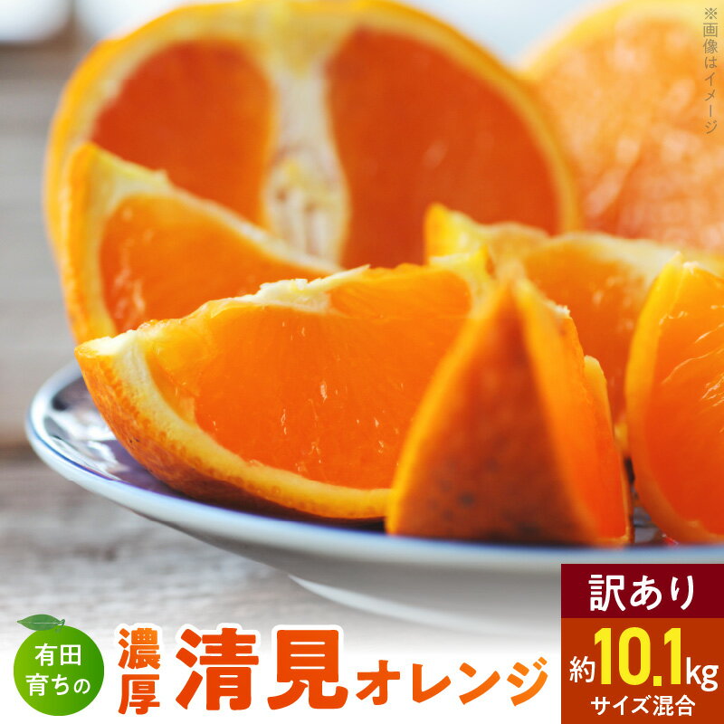【ふるさと納税】【限定】 【2026年先行予約】有田育ちの 濃厚 清見 オレンジ 【訳あり 家庭用】10kg+100g（傷み補償分） (サイズ混合)【清見 みかん タンゴール 柑橘 フルーツ 和歌山 有田】