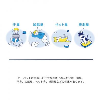 ふるさと納税 八尾市 (レーズン/200×250cm)4色から選べるファブリーズの消臭・抗菌ナイロンラグ/T113 |  | 03