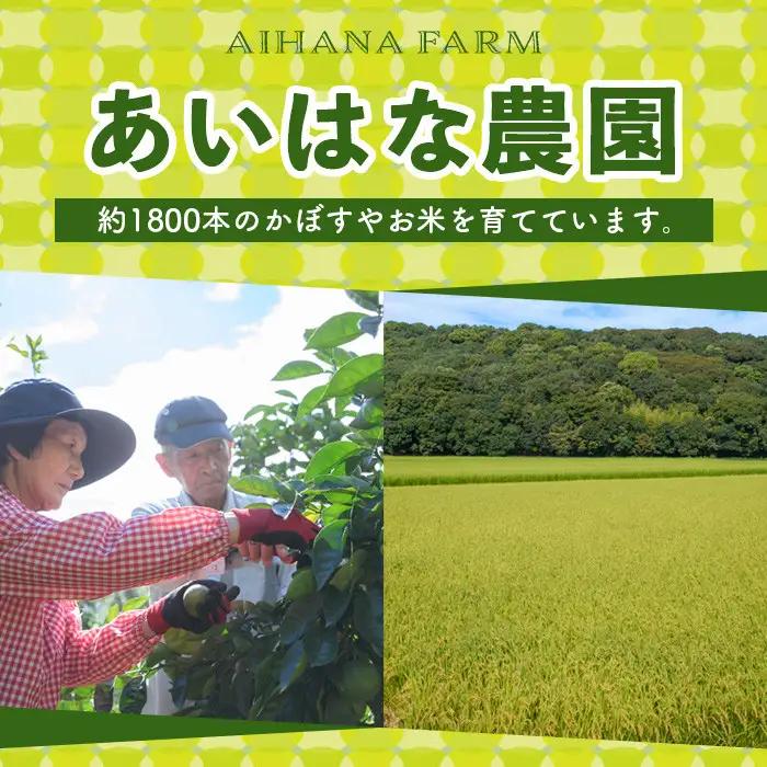 ＜令和7年産＞ひのひかり 玄米 (計10kg・5kg×2P) お米 ごはん ご飯【107101403】【あいはな農園】
