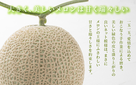 《先行予約》アールスメロン 大玉2kg 1玉 特別限定栽培 八右衛門