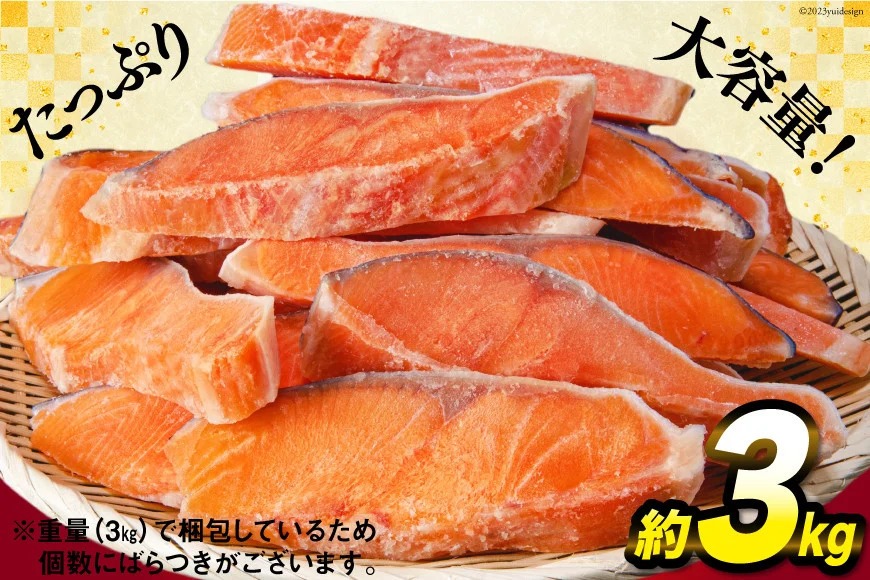 【CF04】訳あり 銀鮭 切身 約3kg [宮城東洋 宮城県 気仙沼市 20564992] 鮭 魚介類 海鮮 訳アリ 規格外 不揃い さけ サケ 鮭切身 シャケ 切り身 冷凍 家庭用 おかず 弁当 支援 サーモン 銀鮭切り身 魚 わけあり