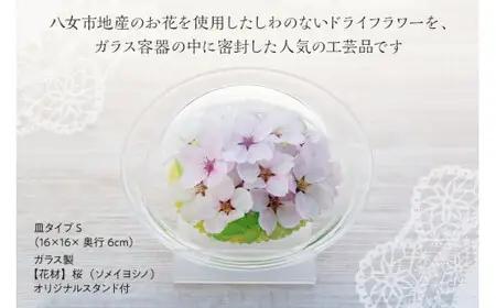本物のサクラを加工した大人気のボトルフラワー　029-002