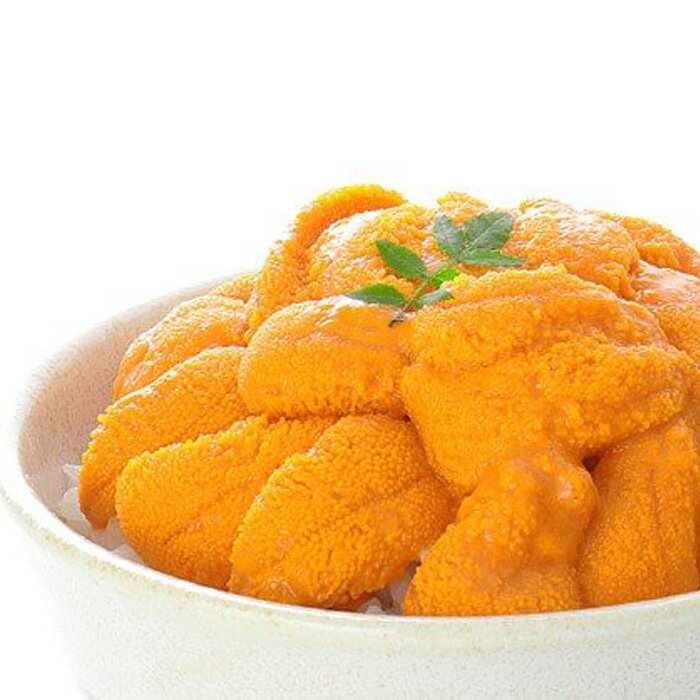 【ふるさと納税】 エゾバフンウニ塩水パック 50 ~ 60g × 2P うに ウニ 雲丹 バフンウニ エゾバフンうに えぞばふんうに 蝦夷バウンウニ 蝦夷ばふんうに ウニ丼 うに丼 雲丹丼 刺身 お取り寄せ グルメ 海鮮 北海道 根室市 ふるさと納税 A-06011