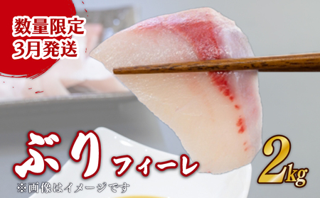 【先行受付 3月発送】 鰤 フィーレ 2kg