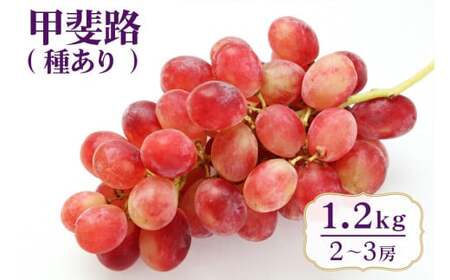 【 2026年 先行予約 】 甲斐路 ( 種なし ) 1.2kg 開田ぶどう園 2房 ～ 3房 ぶどう ブドウ 国産 果物 くだもの 葡萄 フルーツ 1.2キロ 1kg 以上 9月 発送 夏 秋 旬 品種 茨城県産 産地直送 産直 農家直送 冷蔵 茨城県 石岡市 (A01-014)