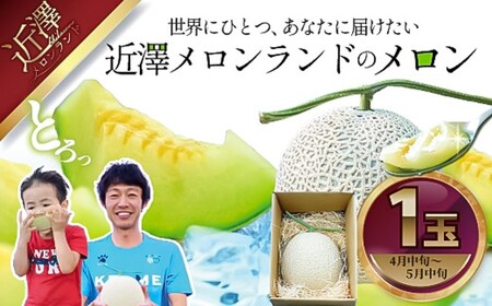 【先行予約】メロン 1玉入（約1.4kg～1.8kg）青肉 〈2027年4月上旬～5月中旬頃発送〉 メロン めろん マスクメロン 舐瓜 果物 くだもの フルーツ デザート 旬 ハウス栽培【株式会社とさもん】[BQAE024]