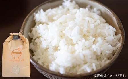【令和7年産】 くまさんの輝き 5kg×1袋 【2025年10月下旬～2026年3月下旬迄発送予定】 お米 米 精米 白米 ごはん ご飯 熊本県 あさぎり町