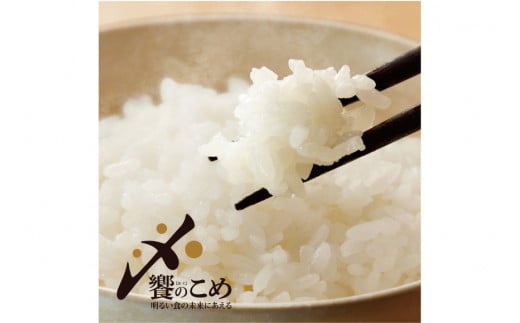 米 定期便 石川米 こしひかり【穂立】5kg×12回 総計60kg [中橋商事 石川県 宝達志水町 38600814]コシヒカリ お米 コメ 12ヶ月 白米 精米 おこめ こめ