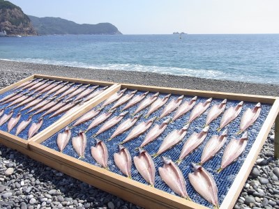 海の恵み　干物詰め合わせB