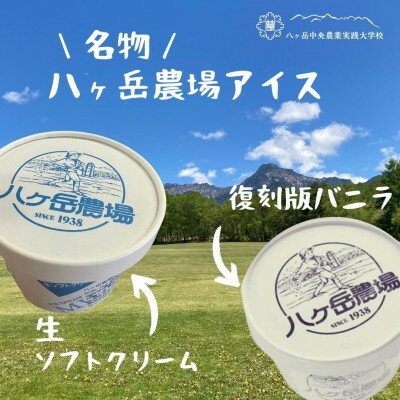 【ふるさと納税】八ヶ岳農場 バニラ&生ソフトクリームアイス 味比べセット　各6個・2種類(合計12個)【配送不可地域：離島】【1600512】
