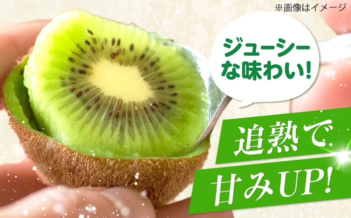 キウイフルーツ キウイ グリーンキウイ キウイ キゥイ キュウイ ジャム 贈答