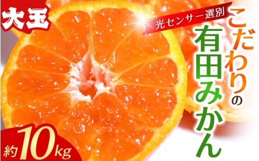 
                  【大玉】みかん 有田みかん 約10kg  大玉3L以上 光センサー選別で厳選 ※2026年12月初旬～2027年1月中旬に順次発送2026年11月～12月に順次発送予定(お届け日指定不可) / みかん 有田みかん 温州ミカン 蜜柑 柑橘 フルーツ 果物 人気 10kg 大玉 ご家庭用 有機肥料 和歌山県 串本町【nuk139F】
                