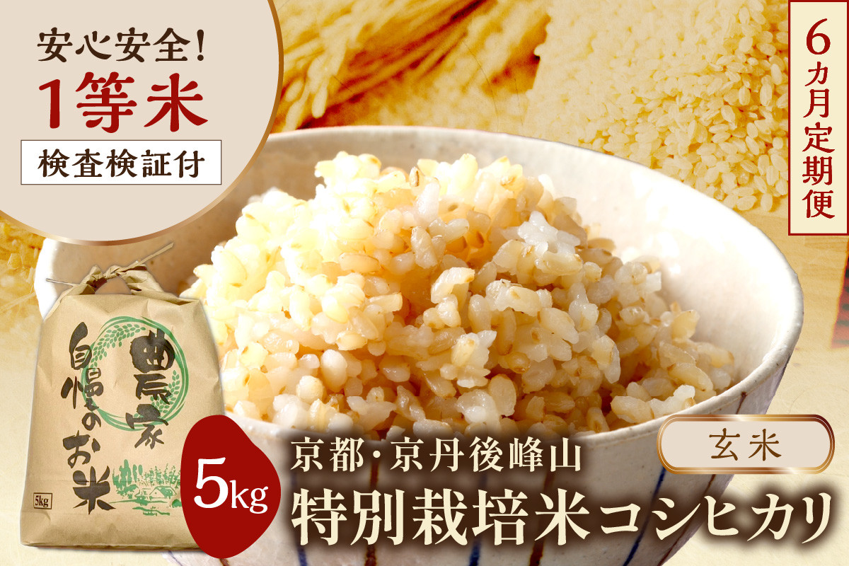 
            【6ヶ月定期便】2025年産 京都・京丹後峰山 特別栽培米コシヒカリ 5kg 【玄米】 1等米 検査済証付　MF00056
          
