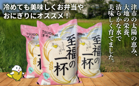 至福の一杯 5kg 令和7年産 米 お米 新米 ご飯 飯 精米 津市 三重県 新品種