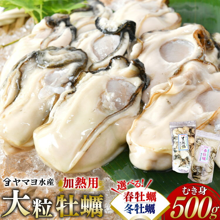 【ふるさと納税】 選べる 冬牡蠣 / 春牡蠣 【期間限定発送】ヤマヨ水産の牡蠣 むき身 500g 加熱用 [気仙沼市物産振興協会 宮城県 気仙沼市 20565992] 牡蠣 かき 魚介類 海鮮 冬 冬かき 期間限定 冷蔵 加熱 春 春かき