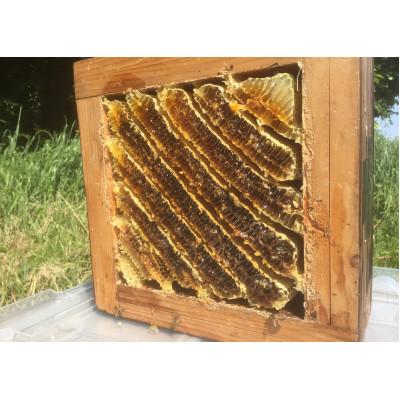 ふるさと納税 下野市 日本ミツバチの百花蜂蜜1200g(200g×6瓶)こだわりの採蜜方法で国産100%天然生蜂蜜です。 |  | 01
