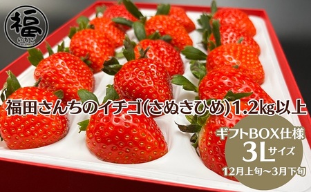 福田さんちのイチゴ(さぬきひめ) 3L サイズ 1.2kg以上 ギフトボックス3箱【配送不可：北海道、沖縄、離島エリア】苺 農園直送 いちご採れたて直送 果物 フルーツ 