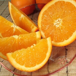 ネーブルオレンジ[約7kg]和歌山県有田産春みかん(果実サイズおまかせ)【1223177】