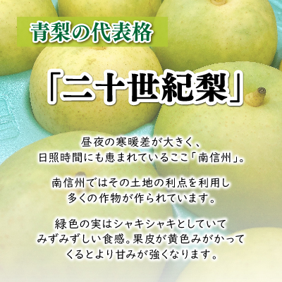 9月中旬より順次発送予定！【長野県高森町】青梨の銘品!! 二十世紀梨 5kg 州 南信州 産地直送 果物 くだもの なし ナシ 和梨 旬 旬の果物 旬の梨 株式会社マツザワ