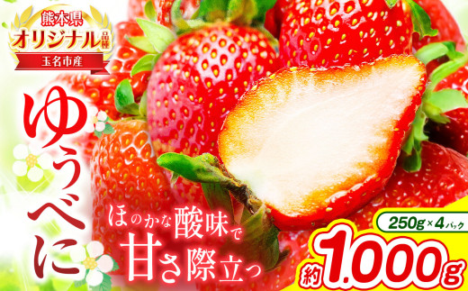 熊本 玉名産 いちご ゆうべに 約1000g （ 250g×4パック ） ｜ 果物 くだもの フルーツ イチゴ 苺 熊本県 玉名市