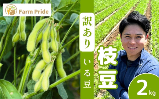 【訳あり】枝豆 2kg | 枝豆 えだまめ エダマメ 豆 いる豆 おつまみ 野菜 産地直送 株式会社farmpride 埼玉県 所沢市