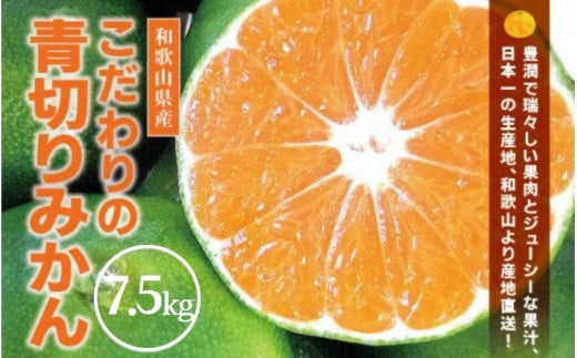 青切り みかん 7.5kg / 極早生 極早生みかん 温州みかん 甘い 家庭用 和歌山 柑橘 ※2026年9月下旬～10月順次発送 ※北海道・沖縄・離島への配送不可 【nuk001-r-7d5C】