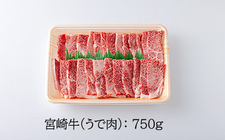 宮崎牛焼肉（うで肉）約750g　特番569