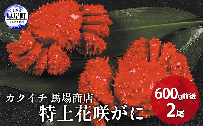蟹屋厳選 北海道　厚岸産 特上花咲がに 600g前後×2尾 蟹 か
