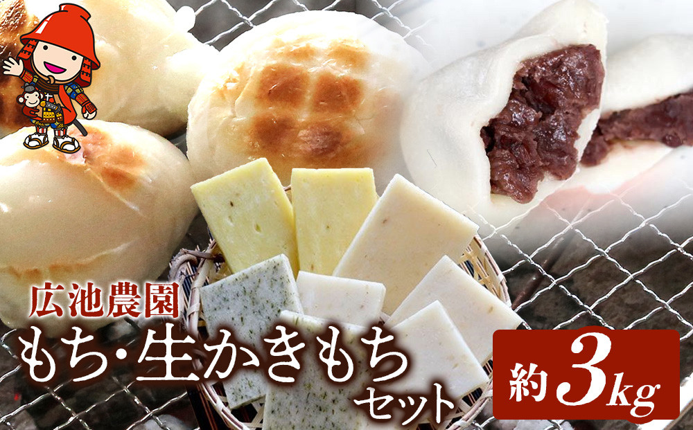
            【期間・数量限定】広池農園もち・生かきもちセット 約3㎏ ( 冷凍小もち500g×2 冷凍あんもち6ヶ入×2 生かきもち×3パック ) | もち 生かきもち セット 3㎏ 3キロ 小もち あんもち かきもち 白餅 よもぎ餅 餅 生もち 大分県産 もち米 九州産 国産 冷凍 大分県 中津市
          