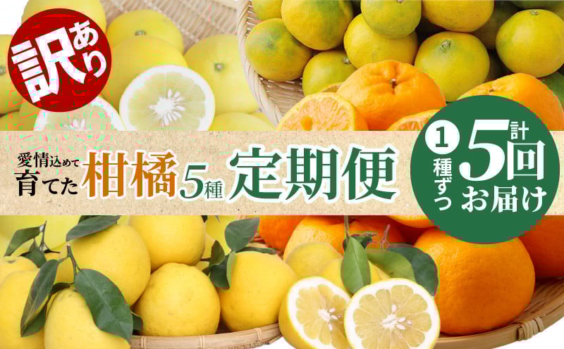 
                  S040-018_【訳あり 定期便5回】天草 下浦地区の農家が愛情込めて育てた柑橘5種〈先行受付〉 【定期便5回】 農家が愛情込めて育てた 訳あり 柑橘 5種 先行予約 早摘み 早生 温州 みかん 下浦 100年 ポンカン 不知火 パール柑 木成り晩柑 合計約35kg 楽しめる 味わい 酸味 濃厚 ジューシー さっぱり 甘さ 果物 熊本県 天草 定期便 お取り寄せ 送料無料
                