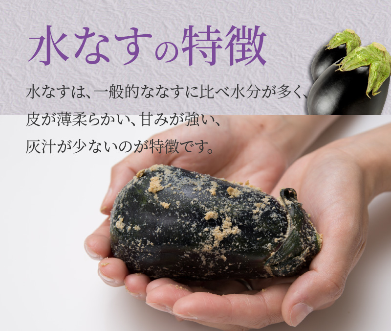 特選水なす浅漬け 5個入り【新鮮 野菜 泉佐野産 茄子 やさい 高評価 数量限定】 010B1648
