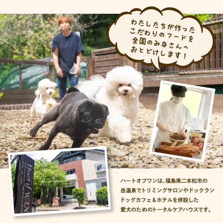 【3ヶ月定期便】ペットのためのドライ馬肉ごはん 計6袋 【株式会社ハートオブワン】