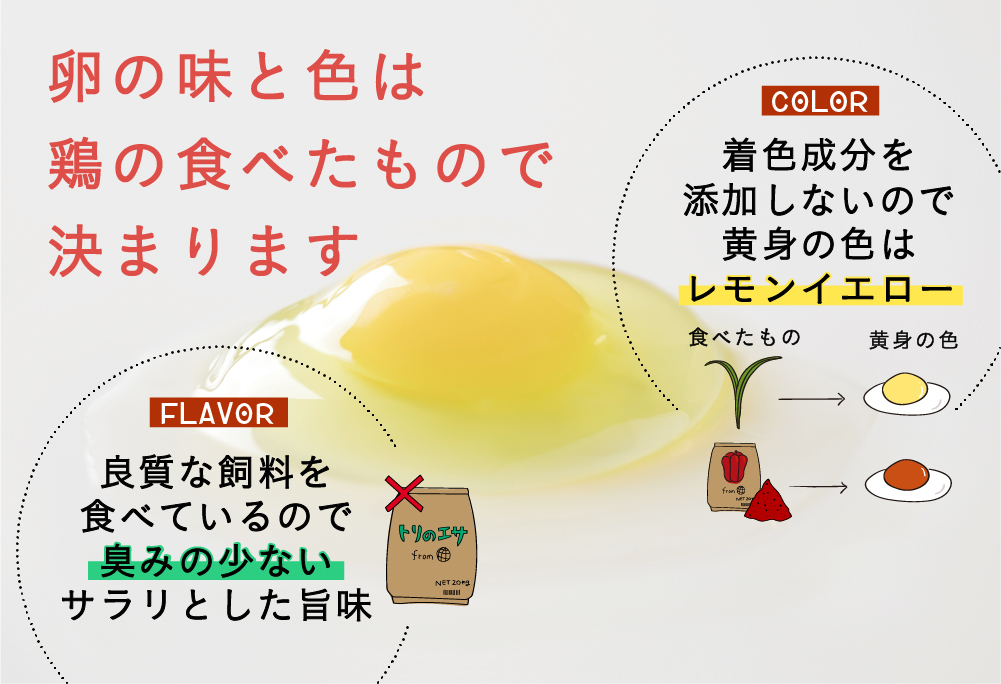 【月2回・全2回定期便】こだわりの無投薬･平飼い有精卵 25個《厚真町》【テンアール株式会社】 たまご 卵 鶏卵 玉子 生卵 平飼い 北海道 定期便 [AXAN024]