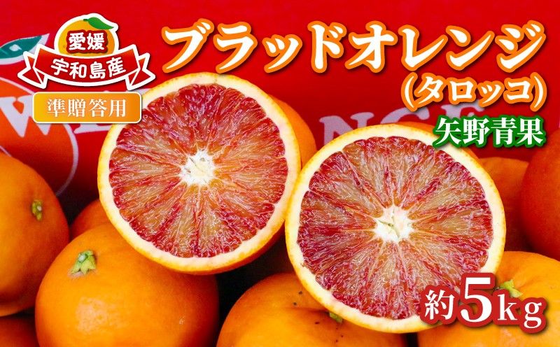 
                  準 贈答用 ブラッドオレンジ タロッコ 5kg 矢野青果 オレンジ みかん 柑橘 果物 くだもの オレンジフルーツ フルーツ 濃厚 甘い 甘味 蜜柑 準贈答用 贈答品 贈答 ギフト プレゼント 産地直送 農家直送 数量限定 国産 愛媛 宇和島 B012-171020
                