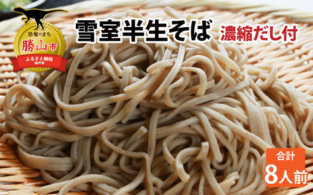 雪室半生そば 8人前（100g/1人前×8個セット） 濃縮だし付 [A-077007]