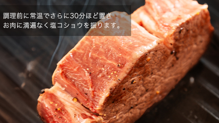 【 常陸牛 】 希少部位ステーキ（ ヒレステーキ ）200g×3枚 (茨城県共通返礼品) 国産牛 和牛 お肉 ステーキ ブランド牛 ヒレ肉 ヒレ 牛肉 焼肉 焼き肉 バーベキュー BBQ