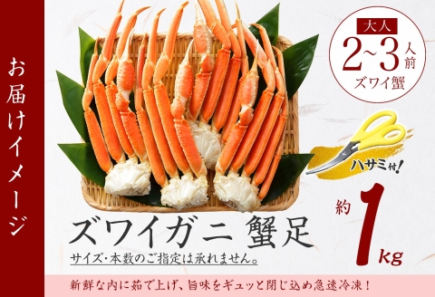 1523. ボイルズワイガニ足 1kg 約2-3人前 食べ方ガイド・専用ハサミ付 カニ かに 蟹 海鮮 送料無料 期間限定 数量限定 北海道 弟子屈町