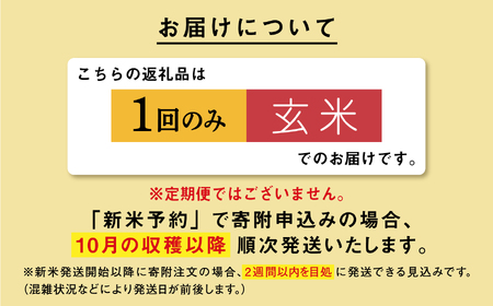 玄米 新米 令和7年産 秋田県産あきたこまち 5kg
