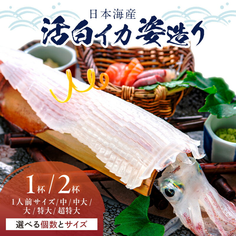 【ふるさと納税】【鮮度自慢】高評価★4.86 高レビュー★ 甘み絶大♪簡単♪すぐに食べられる／日本海産『海の京都』の逸品！！活白イカ姿造り（クリスタル白いか） 選べる 1杯 2杯 150g前後〜500g前後（2027年6月上旬〜発送） 刺身 先行 限定 ふるさと納税 いか