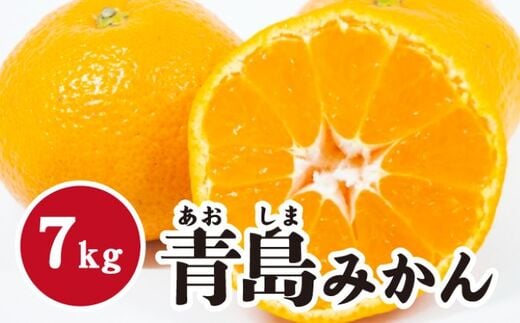  みかん【先行受付】【2026年1月末以降発送】 濃厚な甘さが特徴！青島みかん ＜約7kg＞ 広島 三原 佐木島 鷺島みかんじま 017055