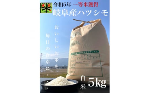 令和6年産　岐阜ハツシモ　5kg　白米【1148642】