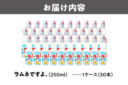 ラムネ生産量日本一！ ラムネですよ。(ビー玉入りペット)_OS262-0001