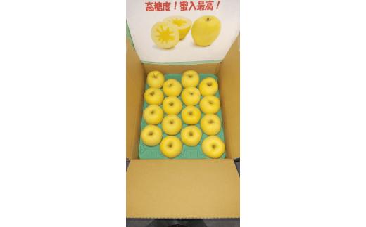 会津美里産　りんご（はるか）5kg　※2025年11月下旬～12月中旬頃に順次発送予定