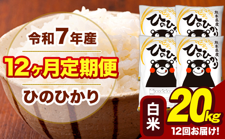 令和7年産 【12ヶ月定期便】 白米 米 ひのひかり 20kg《お申込み翌月から出荷》熊本県 大津町 国産 熊本県産 白米 送料無料 ヒノヒカリ こめ お米---hn7tei_582000_20kg_