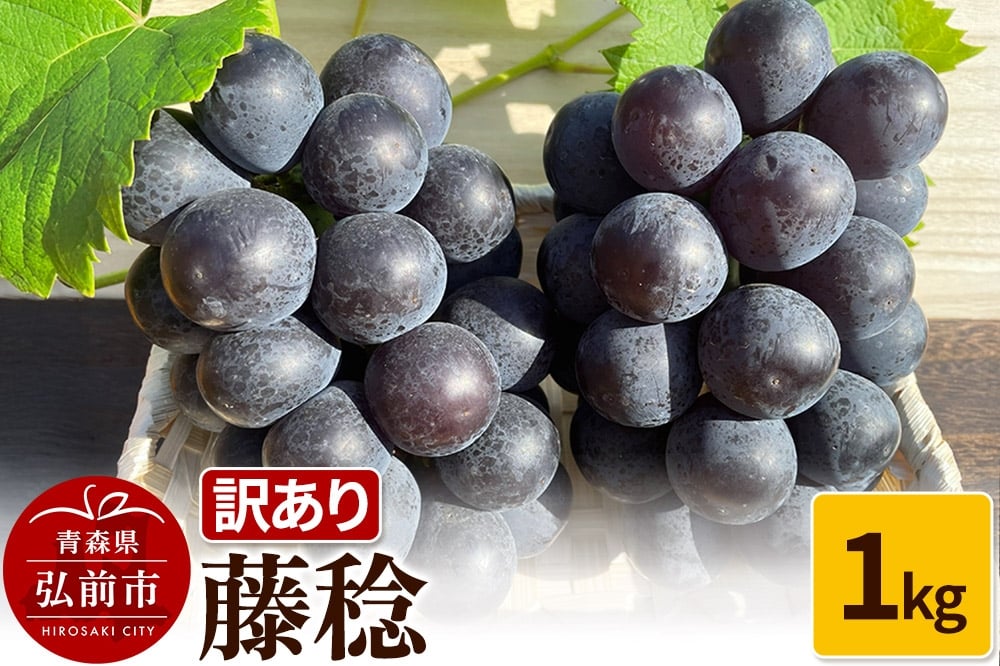 
            【25年9月～発送】 【訳あり】 藤稔 1kg【先行受付】 ぶどう フルーツ 果物 ブドウ 葡萄 グレープ くだもの 産地直送【レビューキャンペーン】
          